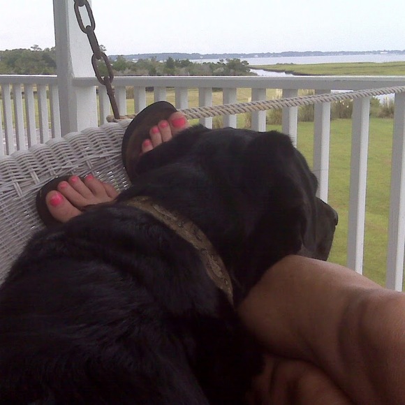 Meet your Posher, June - Picture 1 of 1